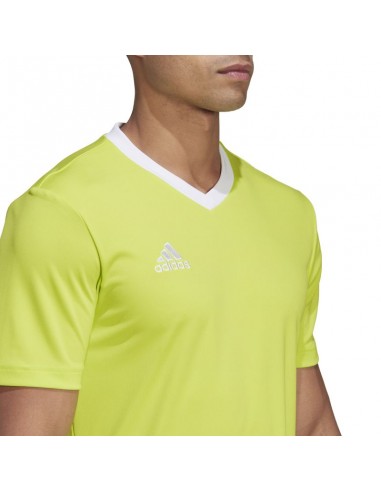 Tee adidas Entrada 22 M HC5077