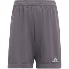 Adidas Entrada 22 Jr. H57507 shorts