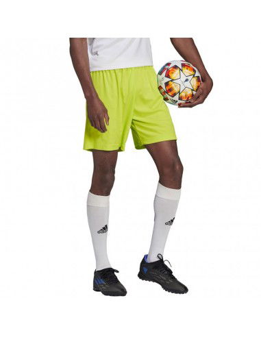 Adidas Entrada 22 M HC5061 Shorts