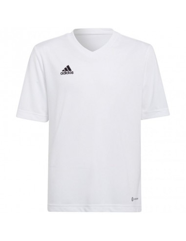 T-shirt adidas Entrada 22 Jsy Jr HC5054