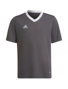 T-shirt adidas Entrada 22 Jsy Jr H57499
