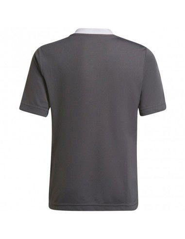 T-shirt adidas Entrada 22 Jsy Jr H57499
