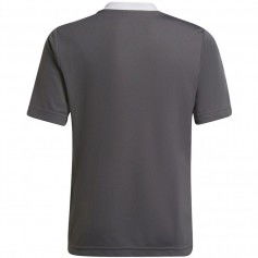 T-shirt adidas Entrada 22 Jsy Jr H57499