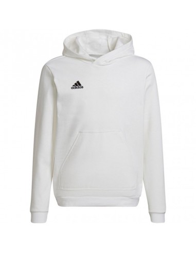 Sweatshirt adidas Entrada 22 Hoody Jr HG6303