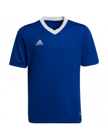 T-shirt adidas Entrada 22 Jsy Jr HG3948