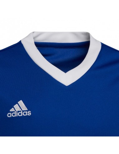 T-shirt adidas Entrada 22 Jsy Jr HG3948