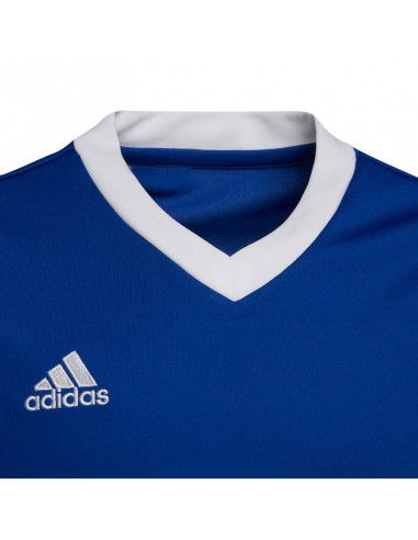T-shirt adidas Entrada 22 Jsy Jr HG3948
