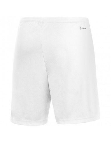 Adidas Entrada 22 M HG6295 shorts