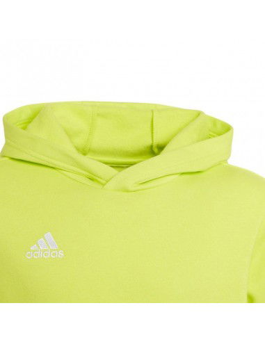 Sweatshirt adidas Entrada 22 Hoody Jr HC5069