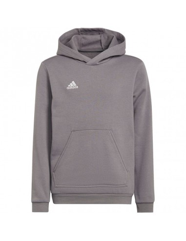 Sweatshirt adidas Entrada 22 Hoody Jr H57515