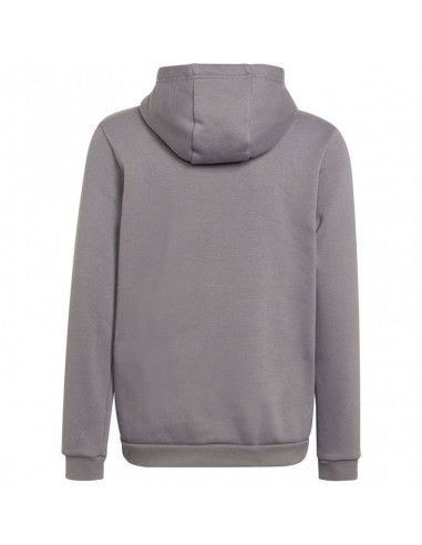 Sweatshirt adidas Entrada 22 Hoody Jr H57515