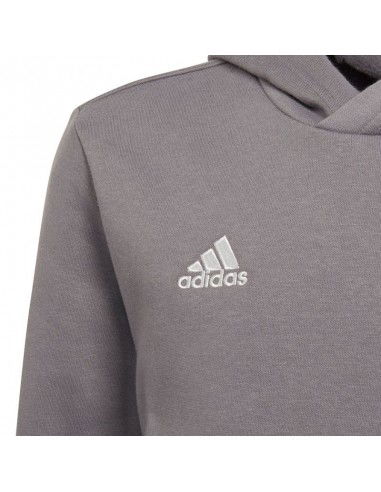 Sweatshirt adidas Entrada 22 Hoody Jr H57515