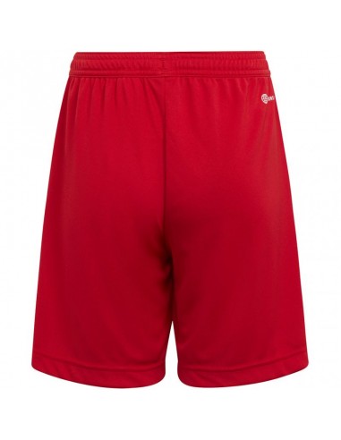 Adidas Entrada 22 Jr H57501 shorts