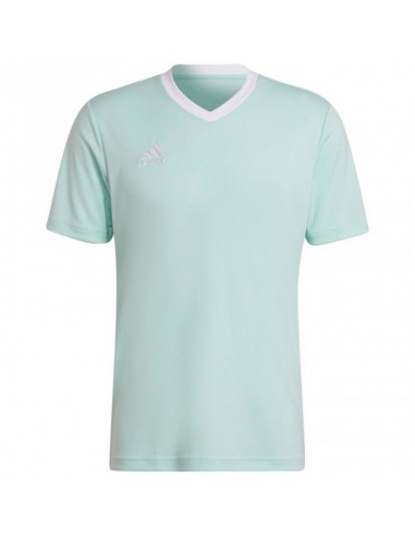 Adidas Entrada 22 Ανδρικό T-shirt Clear Mint Μονόχρωμο HC5073