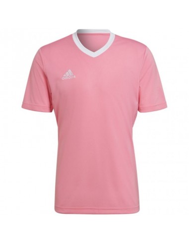 Adidas Entrada 22 Jersey M HC5072