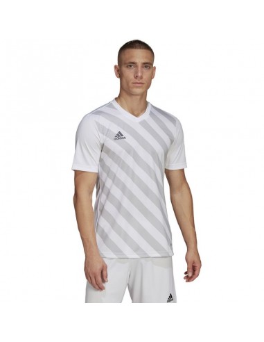 T-shirt adidas Entrada 22 Graphic Jersey M HF0129