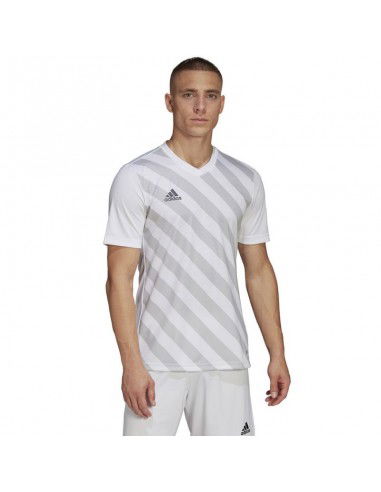 T-shirt adidas Entrada 22 Graphic Jersey M HF0129