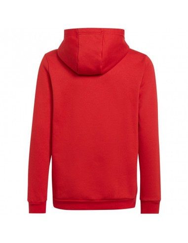 Sweatshirt adidas Entrada 22 Hoody Jr H57566