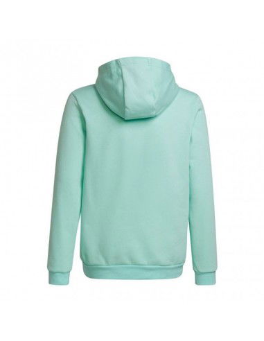 Adidas Entrada 22 Hoody JR HC5066 sweatshirt