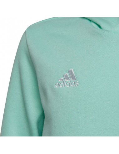 Adidas Entrada 22 Hoody JR HC5066 sweatshirt
