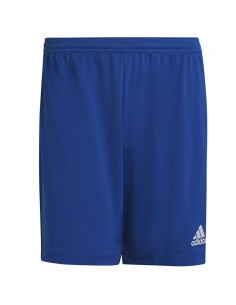 Adidas Entrada 22 M HG6294 shorts