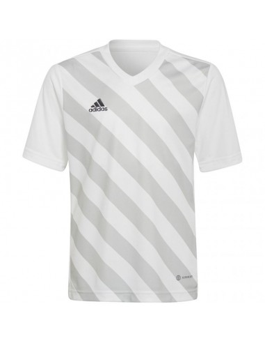 T-shirt adidas Entrada 22 Graphic Jersey Jr HF0120