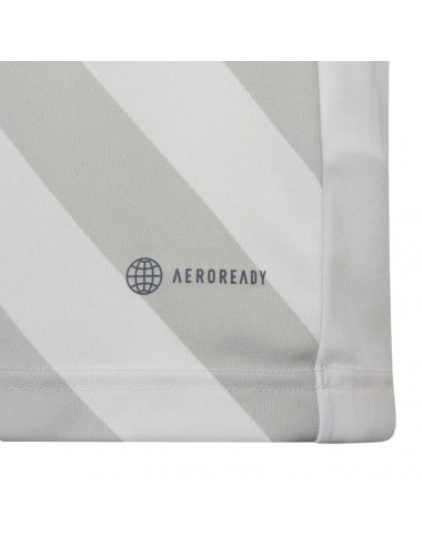 T-shirt adidas Entrada 22 Graphic Jersey Jr HF0120