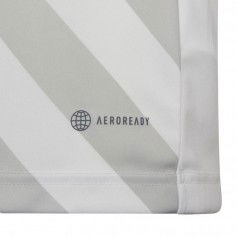 T-shirt adidas Entrada 22 Graphic Jersey Jr HF0120