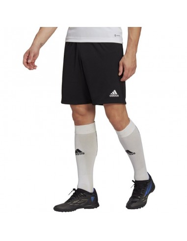 Adidas Entrada 22 Training Short M HB0575