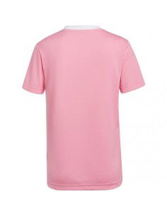 Adidas Entrada 22 Jersey W HC5075 2