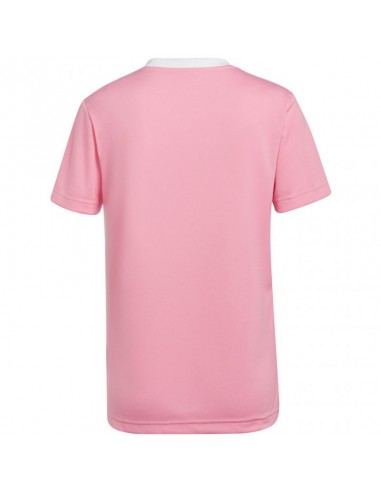 Adidas Entrada 22 Jersey W HC5075