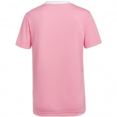 Adidas Entrada 22 Jersey W HC5075