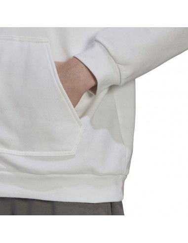 Sweatshirt adidas Entrada 22 M HG6302