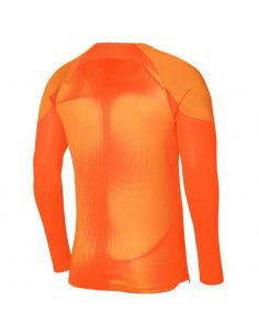 Nike Gardien IV Goalkeeper JSY M DH7967 819 goalkeeper jersey 2