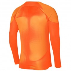 Nike Gardien IV Goalkeeper JSY M DH7967 819 goalkeeper jersey