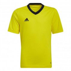 T-shirt adidas Entrada 22 Jersey Jr. HI2127