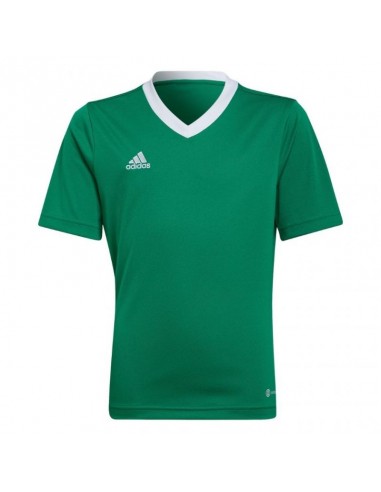 Adidas Παιδικό T-shirt Πράσινο HI2126