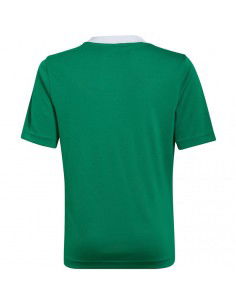 T-shirt adidas Entrada 22 Jersey Jr HI2126 2