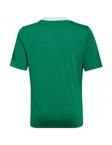 T-shirt adidas Entrada 22 Jersey Jr HI2126