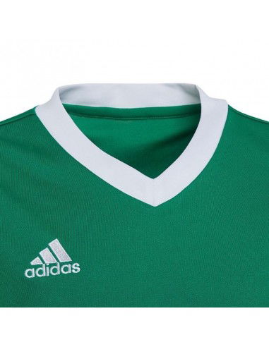 T-shirt adidas Entrada 22 Jersey Jr HI2126