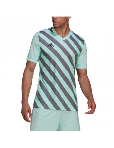 T-shirt adidas Entrada 22 Graphic Jersey M HF0119