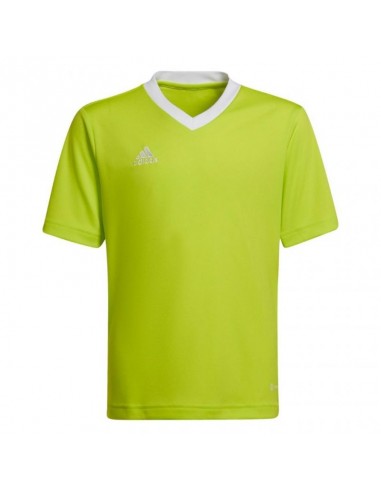 Adidas Παιδικό T-shirt Πράσινο HC5079