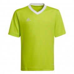 Adidas Entrada 22 Jersey Jr. HC5079