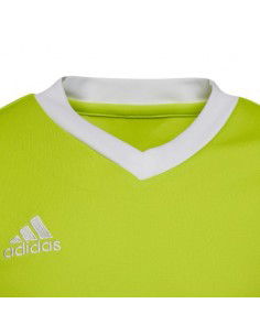 Adidas Entrada 22 Jersey Jr. HC5079 2