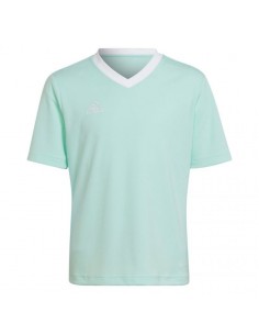 Tee adidas Entrada 22 Jersey Jr HC5078