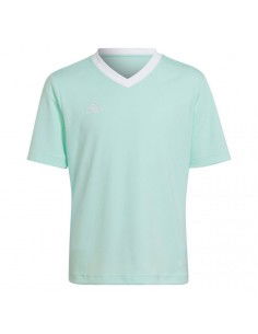 Tee adidas Entrada 22 Jersey Jr HC5078