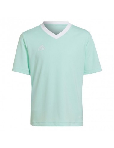 Tee adidas Entrada 22 Jersey Jr HC5078