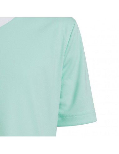 Tee adidas Entrada 22 Jersey Jr HC5078