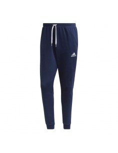 Adidas Entrada 22 Sweat M H57529 pants