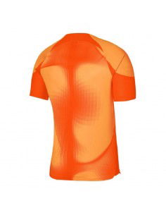 Nike Dri-FIT ADV Gardien 4 M DH7760-819 goalkeeper jersey 2